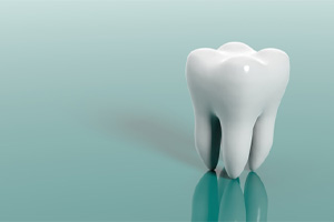 Tooth model set against plain background